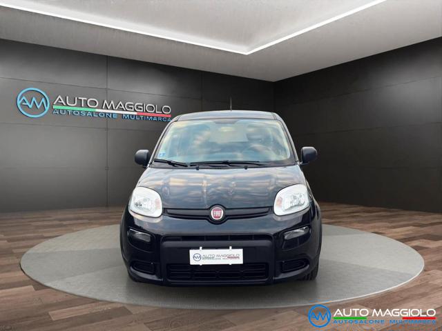 Fiat Panda 1.0 FireFly S&S Hybrid 70 CV PREZZO REALE, del 2023, 56.000 km, in vendita a Curtarolo (PD)