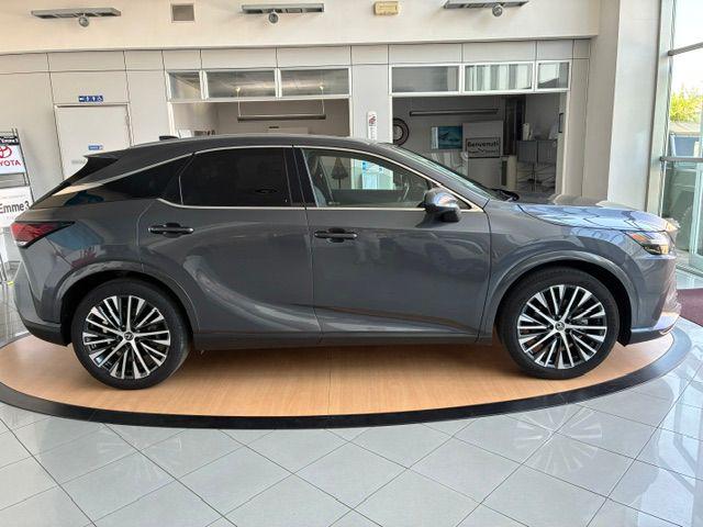 Lexus RX 350 h Premium Hybrid Executive - foto 3 di 4