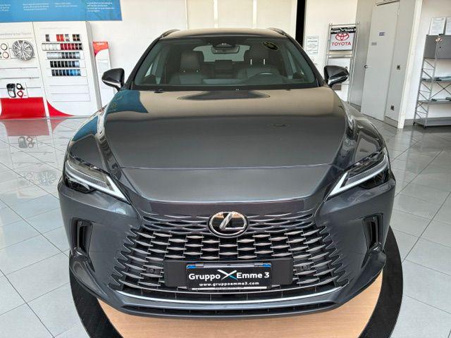 Lexus RX 350 h Premium Hybrid Executive usato a NOVI LIGURE