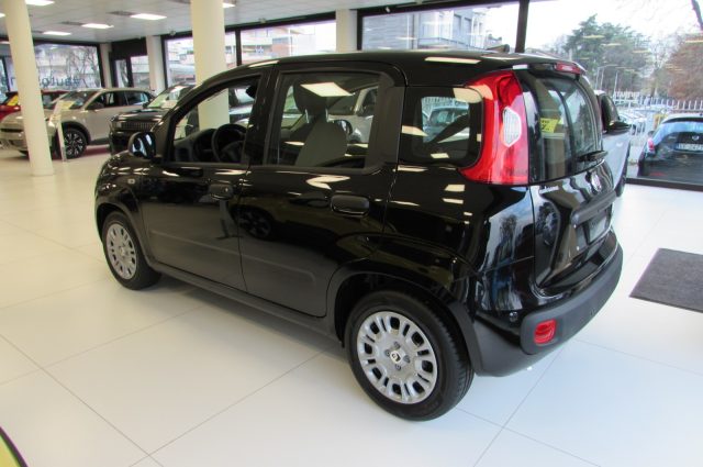 Fiat Panda 1.0 FireFly 70cv S&S Hybrid ICON KMZERO - foto 4 di 4