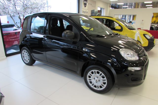Fiat Panda 1.0 FireFly 70cv S&S Hybrid ICON KMZERO - foto 2 di 4