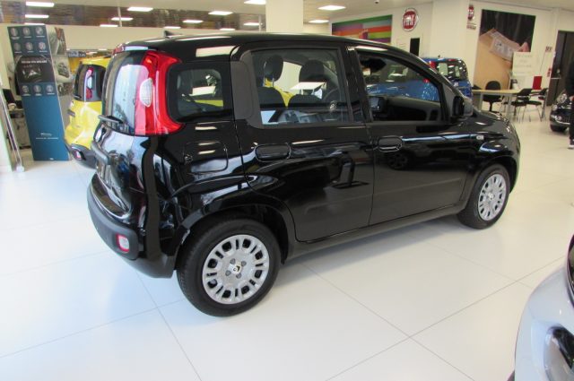 Fiat Panda 1.0 FireFly 70cv S&S Hybrid ICON KMZERO - foto 3 di 4