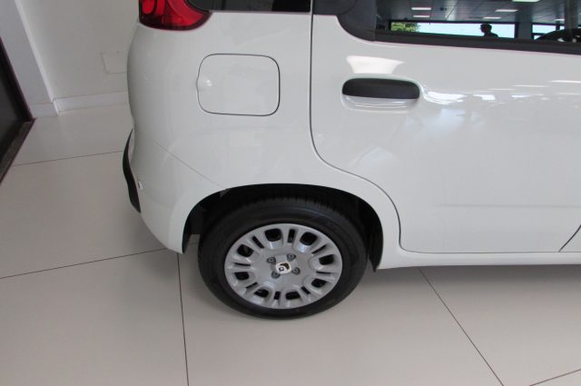 Fiat Panda 1.0 FireFly 70cv S&S Hybrid ICON KMZERO - foto 4 di 4