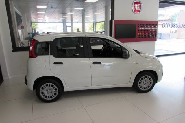 Fiat Panda 1.0 FireFly 70cv S&S Hybrid ICON KMZERO - foto 3 di 4