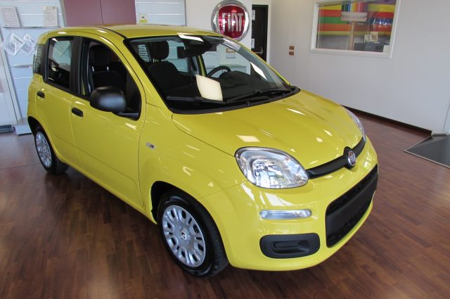 Fiat Panda 1.0 FireFly 70cv S&S Hybrid ICON KMZERO - foto 3 di 4