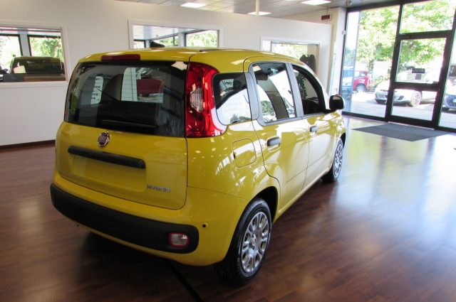 Fiat Panda 1.0 FireFly 70cv S&S Hybrid ICON KMZERO - foto 4 di 4