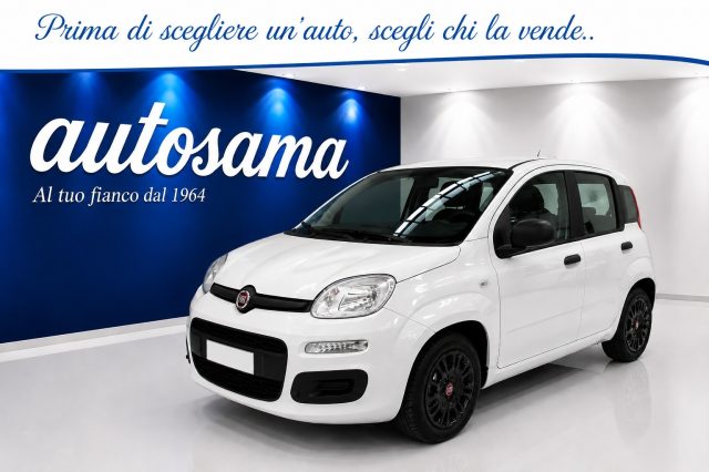 Fiat Panda 1.0 FireFly 70cv S&S Hybrid Easy usato a RHO