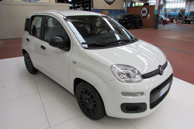Fiat Panda 1.0 FireFly 70cv S&S Hybrid Easy - foto 3 di 4
