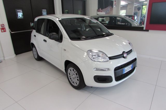 Fiat Panda 1.0 FireFly 70cv S&S Hybrid ICON KMZERO - foto 2 di 4