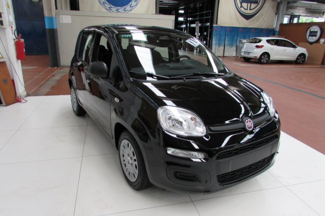 Fiat Panda 1.0 FireFly 70cv S&S Hybrid ICON KMZERO Nera - foto 3 di 4