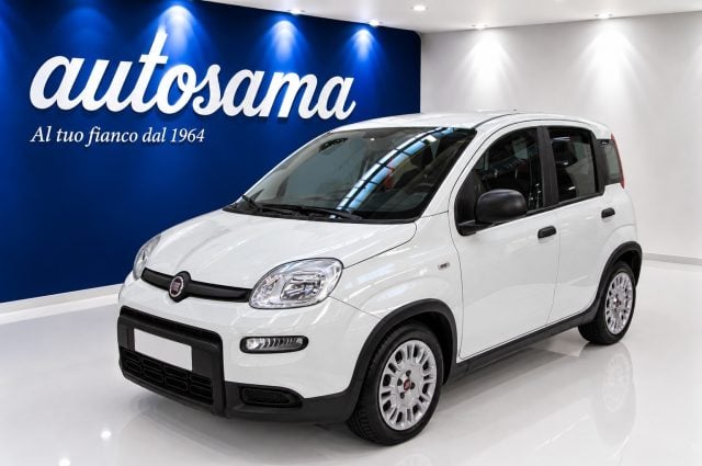 Fiat Panda 1.0 FireFly S&S Hybrid, del 2023, 41.940 km, in vendita a Rho (MI)
