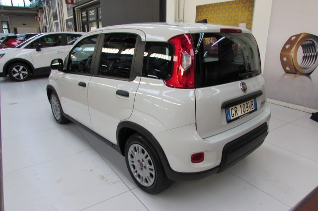 Fiat Panda 1.0 FireFly S&S Hybrid - foto 4 di 4