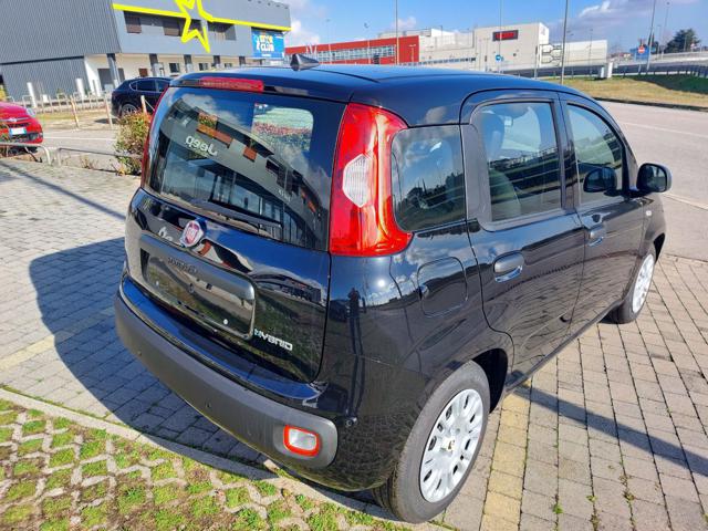 Fiat Panda 1.0 65 cv Hybrid Icon - foto 3 di 4