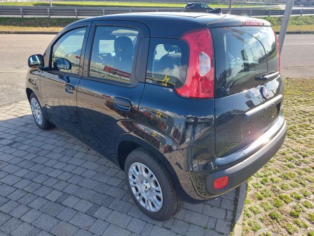 Fiat Panda 1.0 65 cv Hybrid Icon - foto 4 di 4