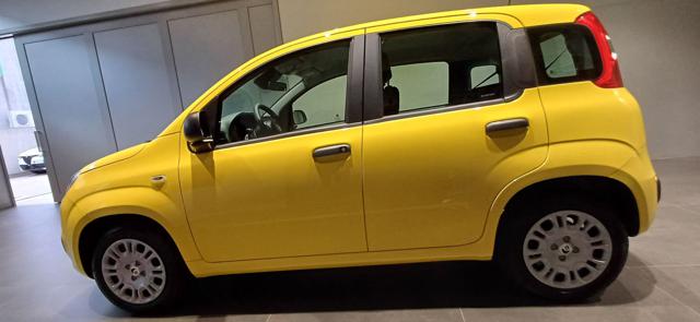 Fiat Panda 1.0 FireFly S&S Hybrid POP - "PREZZO REALE" - foto 4 di 15