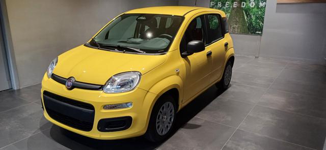Fiat Panda 1.0 FireFly S&S Hybrid POP - "PREZZO REALE" - foto 2 di 15