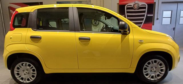 Fiat Panda 1.0 FireFly S&S Hybrid POP - "PREZZO REALE" - foto 3 di 15