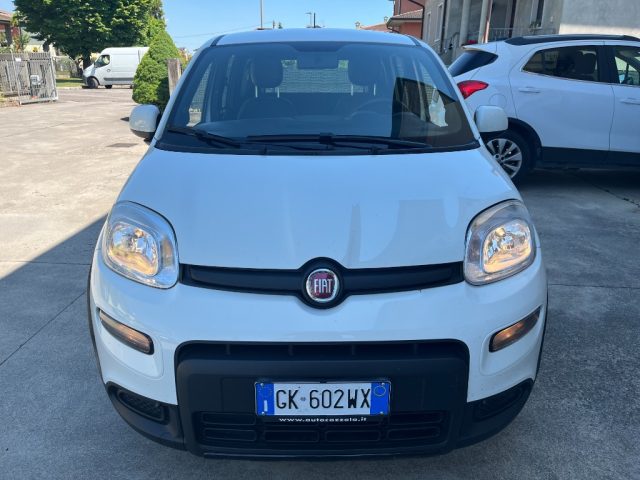 Fiat Panda 1.0 FireFly Hybrid SPORT PREZZO REALE NO VINCOLI - foto 2 di 4