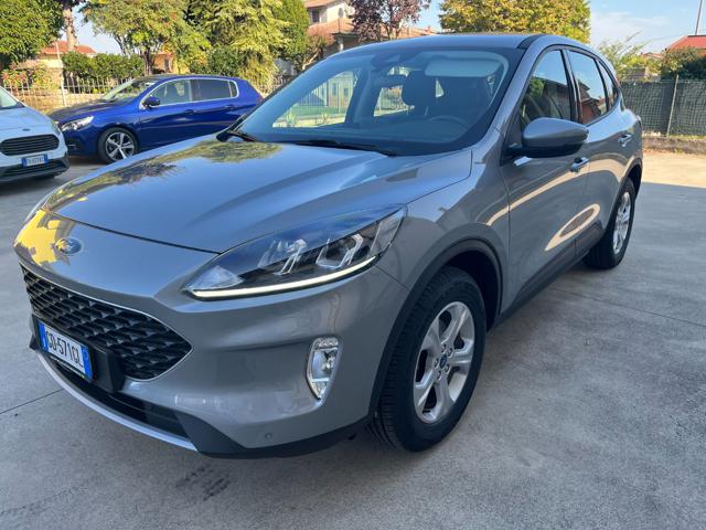 Ford Kuga 1.5 EcoBoost 120 CV 2WD Titanium PREZZO REALE, del 2021, 113.000 km, in vendita a Nogarole Rocca (VR)