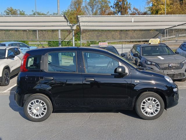 Fiat Panda 1.0 FireFly S&S Hybrid - foto 4 di 20