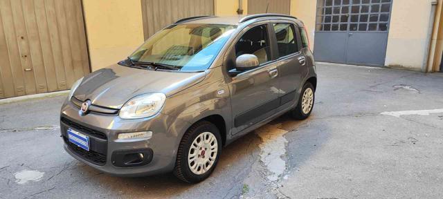 Fiat Panda 1.2 Lounge usato a TORINO