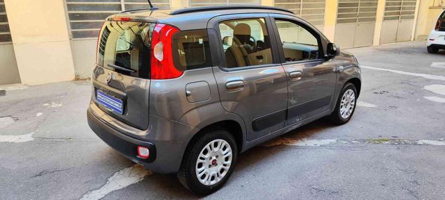 Fiat Panda 1.2 Lounge - foto 4 di 4