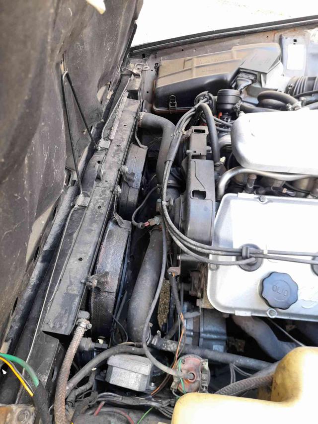 Alfa Romeo GTV 2.5i V6 BUSSO usato a TORINO