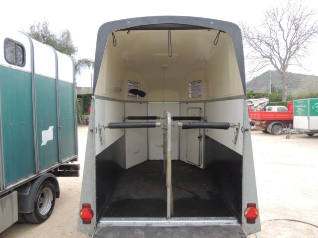 AC Ace carrello trasporto cavalli usato a QUARTO
