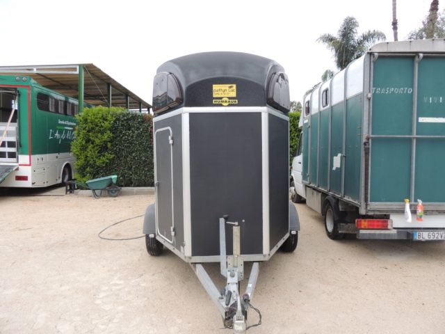 AC Ace carrello trasporto cavalli usato a QUARTO