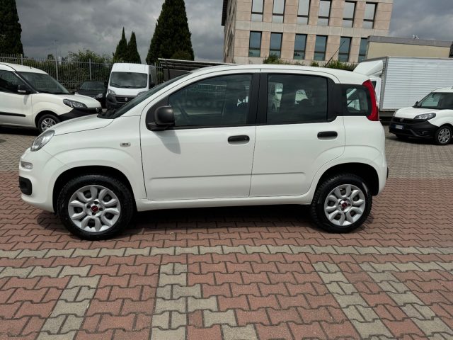Fiat New Panda 0.9 TwinAir Turbo Natural Power EASY - foto 3 di 4