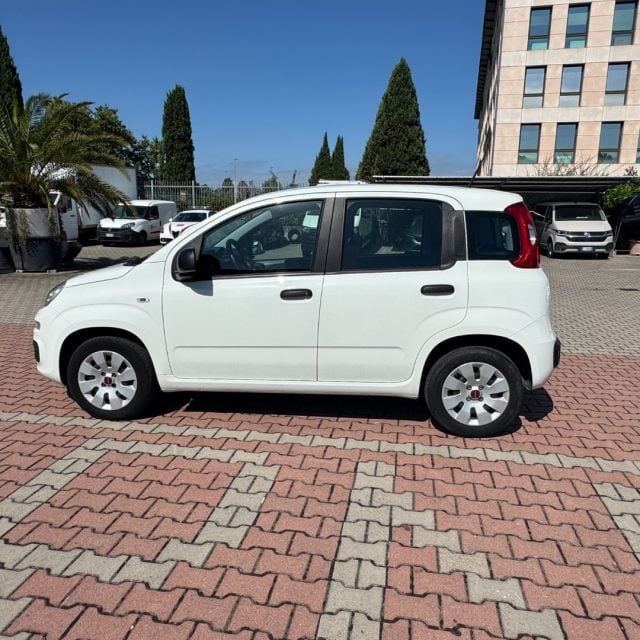 Fiat New Panda 1.2 POP AZIENDALE GUIDABILE DA NEOPATENTATO usato a SESTO FIORENTINO