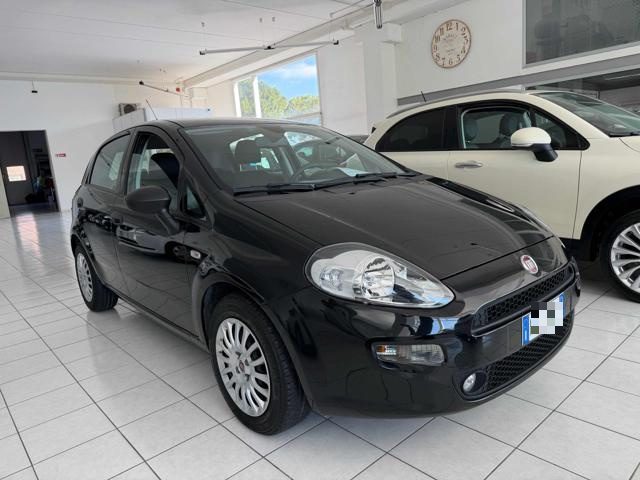 Fiat Punto 1.3 MJT II S&S 95 CV 5 porte Street usato a TOLENTINO