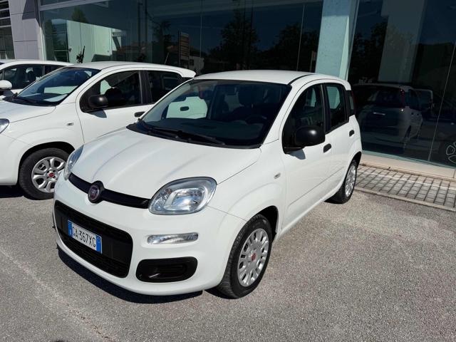 Fiat Panda 1.2 Easy usato a TOLENTINO