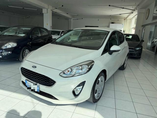 Ford Fiesta 1.5 EcoBlue 5 porte Business usato a TOLENTINO