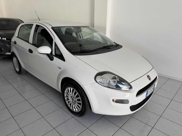 Fiat Punto 1.2 8V 5 porte Street + IMPIANTO GPL usato a TOLENTINO
