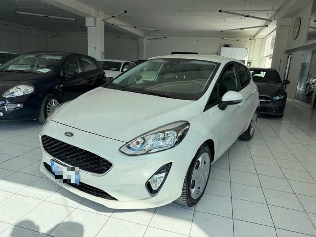 Ford Fiesta 1.5 EcoBlue 5 porte Business usato a TOLENTINO