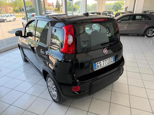 Fiat Panda 1.0 FireFly S&S Hybrid - foto 3 di 13