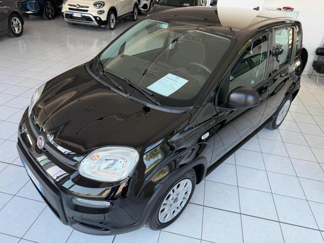 Fiat Panda 1.0 FireFly S&S Hybrid - foto 2 di 13