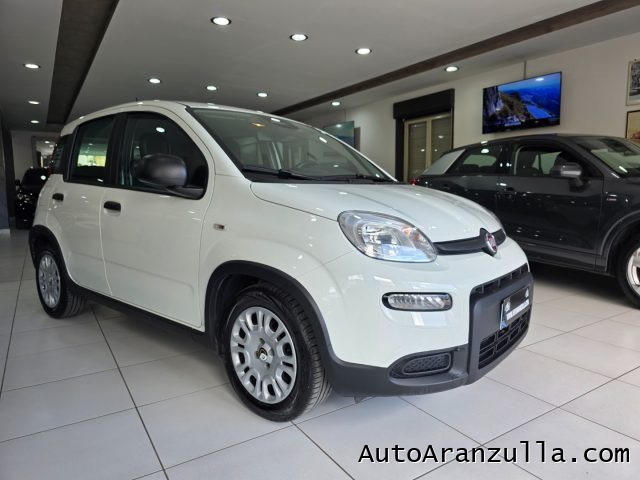 Fiat Panda 1.0 70CV FireFly S&S Hybrid Virtual Cokpit - foto 4 di 4