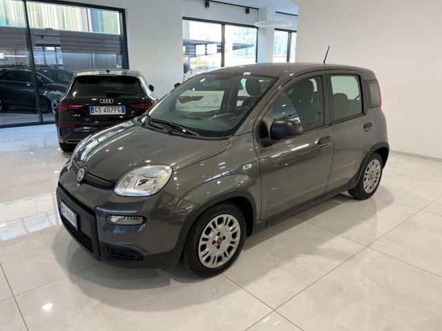 Fiat Panda 1.0 FireFly S&S Hybrid Sensori di parcheggio usato a ASOLO