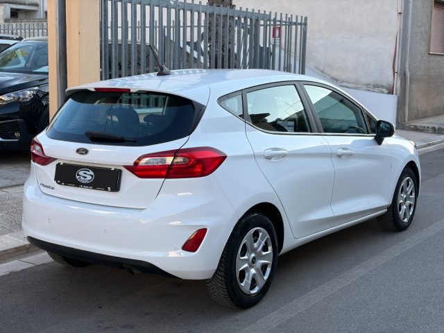 Ford Fiesta 1.5 EcoBlue 95CV Business - foto 3 di 4