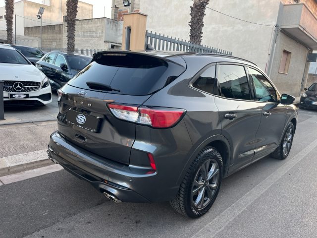 Ford Kuga 1.5 EcoBlue 120 Aut. ST-Line X - foto 4 di 4