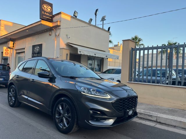 Ford Kuga 1.5 EcoBlue 120 Aut. ST-Line X usato a SAN MICHELE SALENTINO