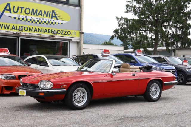 Jaguar XJ -S Convertible usato a BESOZZO