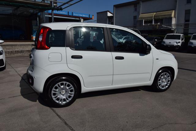 Fiat Panda 1.0 Firefly Hybrid Icon S&S 65cv 5p *Ruotino* km 0 a MAZZANO