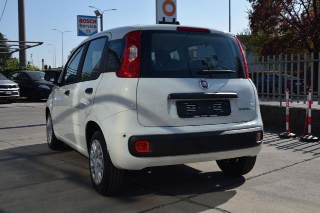 Fiat Panda 1.0 Firefly Hybrid Icon S&S 65cv 5p *Ruotino* - foto 4 di 4
