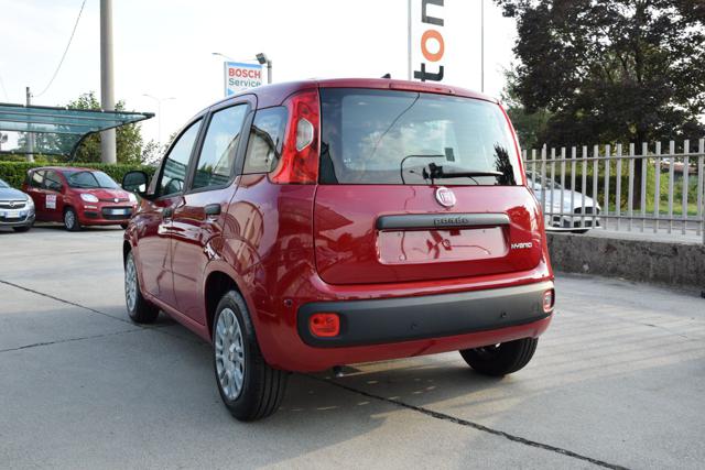 Fiat Panda 1.0 Firefly Hybrid Icon S&S 65cv *5posti* - foto 4 di 4