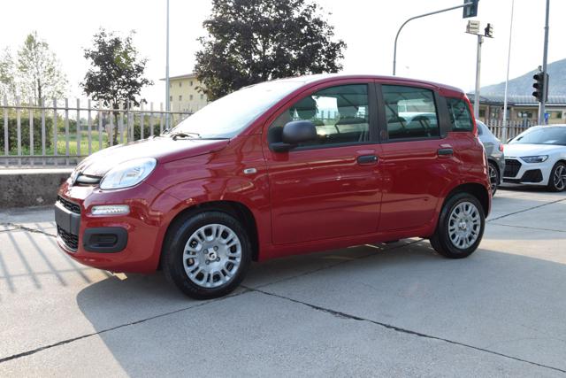 Fiat Panda 1.0 Firefly Hybrid Icon S&S 65cv *5posti* - foto 3 di 4