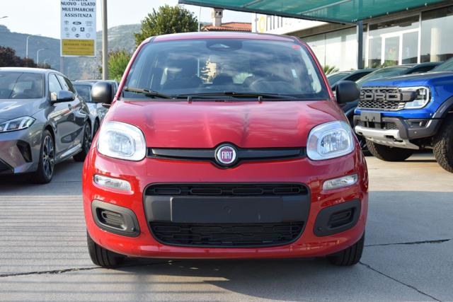 Fiat Panda 1.0 Firefly Hybrid Icon S&S 65cv *5posti* - foto 2 di 4