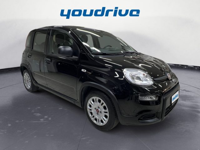 Fiat New Panda 1.0 FireFly S&S Hybrid KM 31.800 usato a NOLA